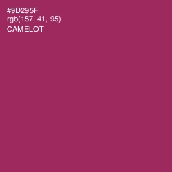 #9D295F - Camelot Color Image