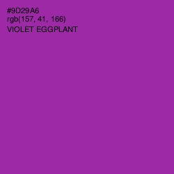 #9D29A6 - Violet Eggplant Color Image