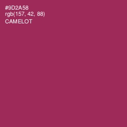 #9D2A58 - Camelot Color Image