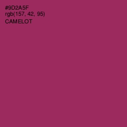 #9D2A5F - Camelot Color Image