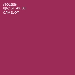 #9D2B58 - Camelot Color Image