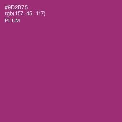 #9D2D75 - Plum Color Image