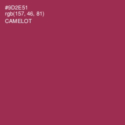 #9D2E51 - Camelot Color Image