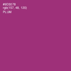 #9D3078 - Plum Color Image