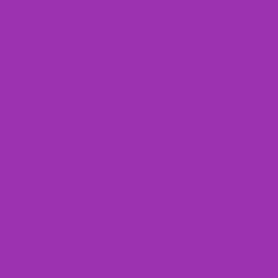 #9D32B0 - Violet Eggplant Color Image