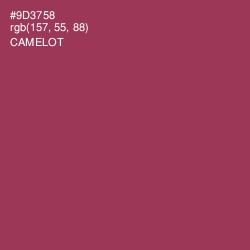 #9D3758 - Camelot Color Image