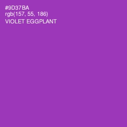 #9D37BA - Violet Eggplant Color Image