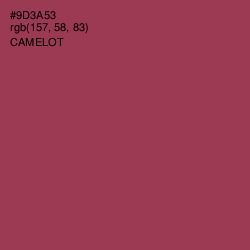 #9D3A53 - Camelot Color Image