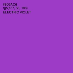#9D3AC6 - Electric Violet Color Image