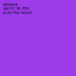 #9D3AE9 - Electric Violet Color Image