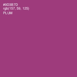 #9D3B7D - Plum Color Image