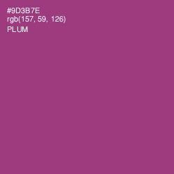 #9D3B7E - Plum Color Image