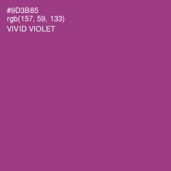 #9D3B85 - Vivid Violet Color Image