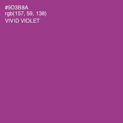 #9D3B8A - Vivid Violet Color Image