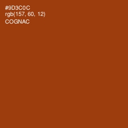 #9D3C0C - Cognac Color Image