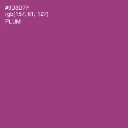 #9D3D7F - Plum Color Image