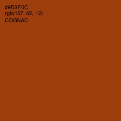 #9D3E0C - Cognac Color Image