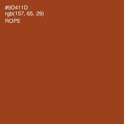 #9D411D - Rope Color Image