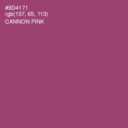 #9D4171 - Cannon Pink Color Image