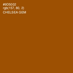 #9D5002 - Chelsea Gem Color Image