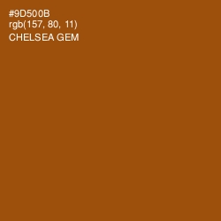 #9D500B - Chelsea Gem Color Image