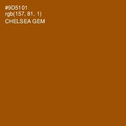 #9D5101 - Chelsea Gem Color Image