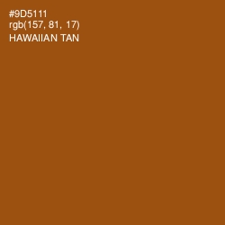 #9D5111 - Hawaiian Tan Color Image