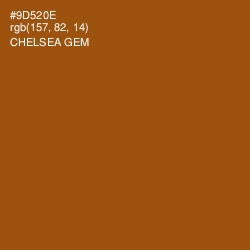 #9D520E - Chelsea Gem Color Image