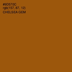 #9D570C - Chelsea Gem Color Image