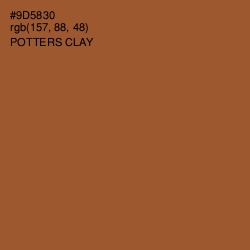 #9D5830 - Potters Clay Color Image