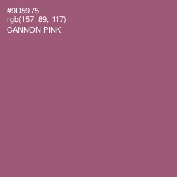 #9D5975 - Cannon Pink Color Image