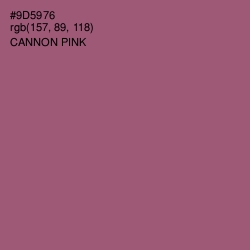 #9D5976 - Cannon Pink Color Image