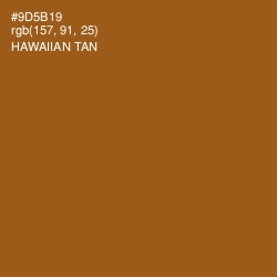 #9D5B19 - Hawaiian Tan Color Image