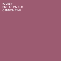 #9D5B71 - Cannon Pink Color Image
