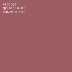 #9D5D63 - Cannon Pink Color Image