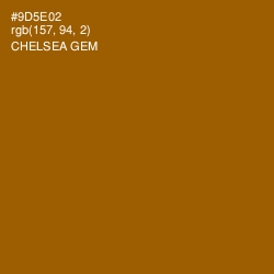 #9D5E02 - Chelsea Gem Color Image