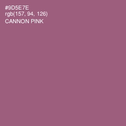 #9D5E7E - Cannon Pink Color Image