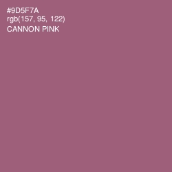 #9D5F7A - Cannon Pink Color Image