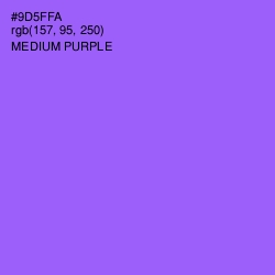 #9D5FFA - Medium Purple Color Image