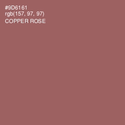 #9D6161 - Copper Rose Color Image