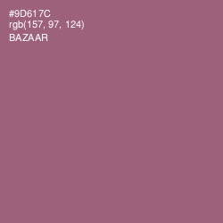 #9D617C - Bazaar Color Image