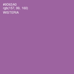 #9D63A0 - Wisteria Color Image
