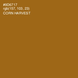 #9D6717 - Corn Harvest Color Image