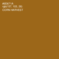 #9D671A - Corn Harvest Color Image