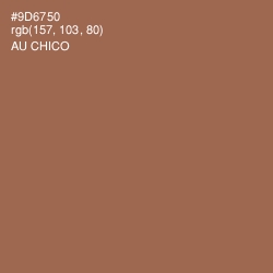 #9D6750 - Au Chico Color Image