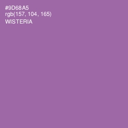 #9D68A5 - Wisteria Color Image