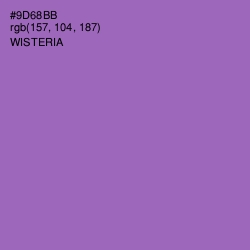#9D68BB - Wisteria Color Image