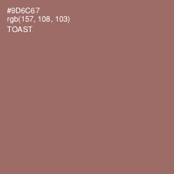 #9D6C67 - Toast Color Image