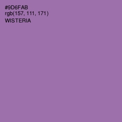 #9D6FAB - Wisteria Color Image