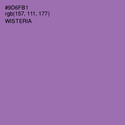 #9D6FB1 - Wisteria Color Image